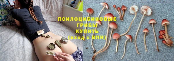 гашиш Новозыбков