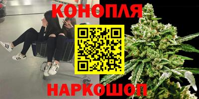гидра Волгодонск