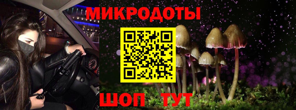 Псилоцибиновые грибы Psilocybine cubensis Зеленогорск