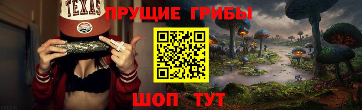 Псилоцибиновые грибы GOLDEN TEACHER Зеленогорск