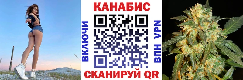 где купить наркоту  Зеленогорск  Шишки марихуана семена 